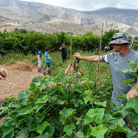 Pagali ホテル Órmos Aiyialís