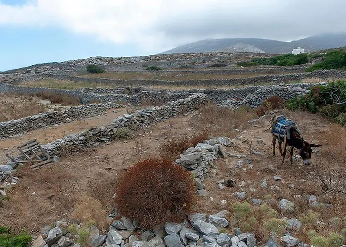 Pagali Ormos Aigialis