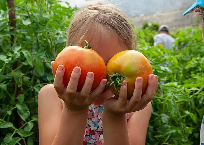 Hotel Pagali Ormos Aigialis