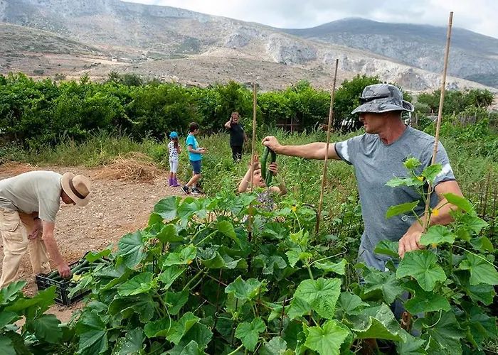 Pagali Отель Ormos Aigialis